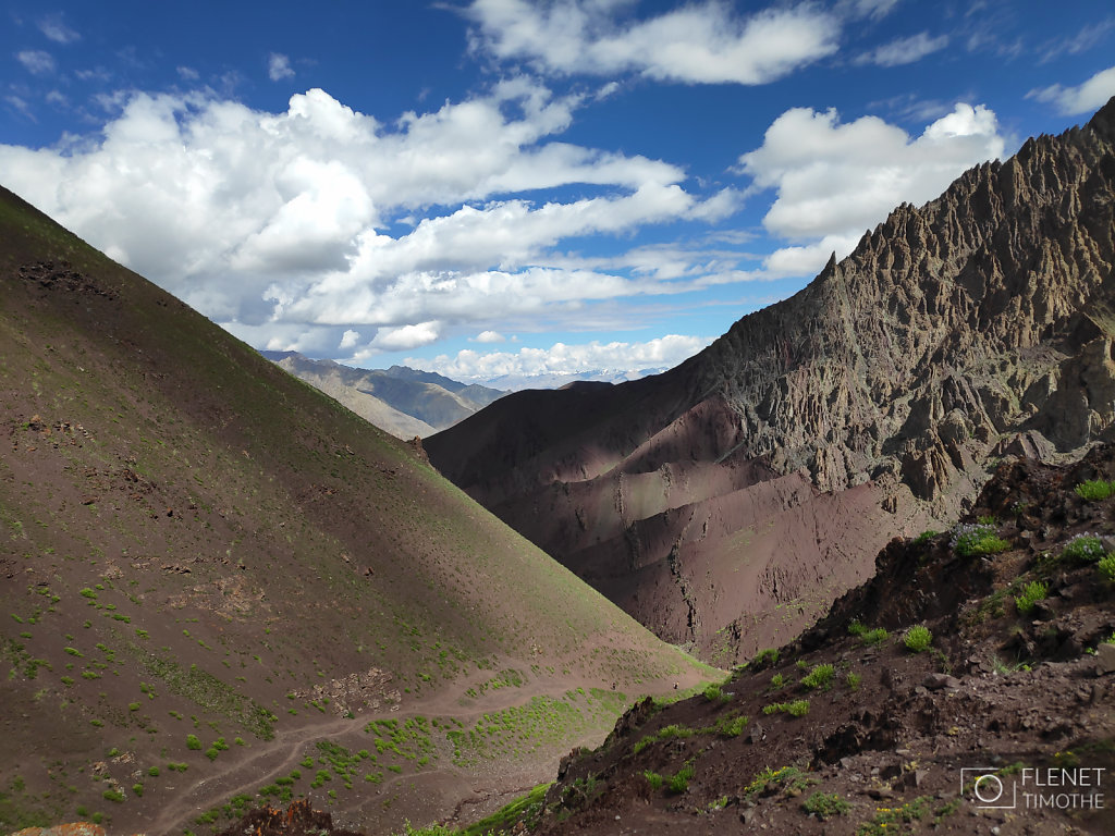 LADAKH-TF-23.jpg