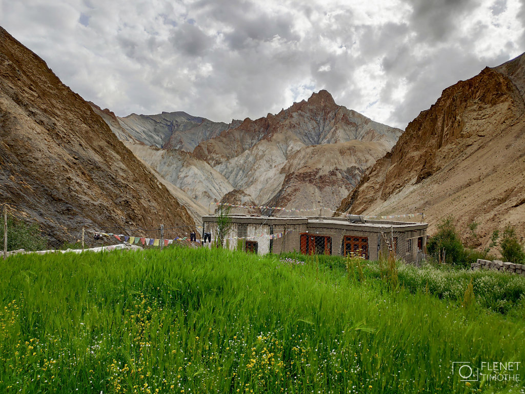 LADAKH-TF-33.jpg