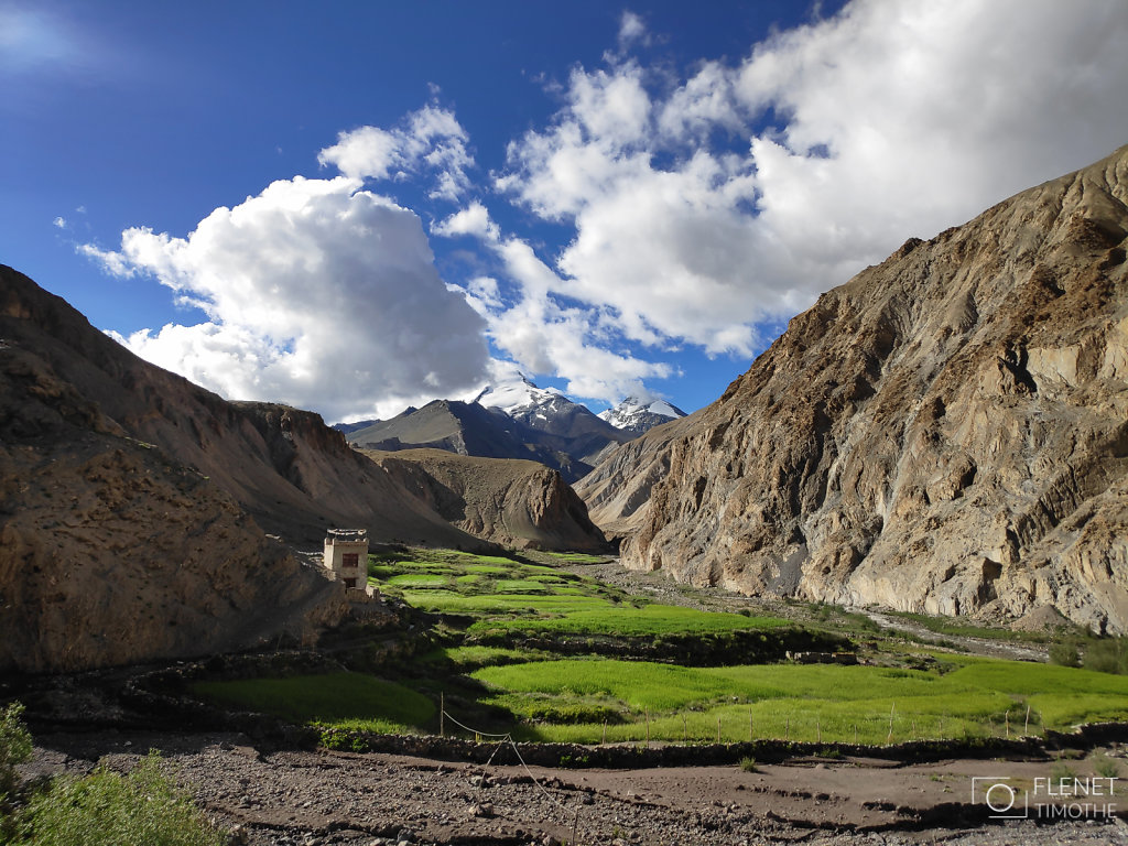 LADAKH-TF-34.jpg