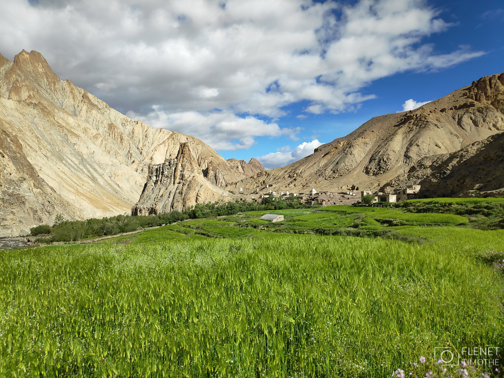 LADAKH-TF-35.jpg